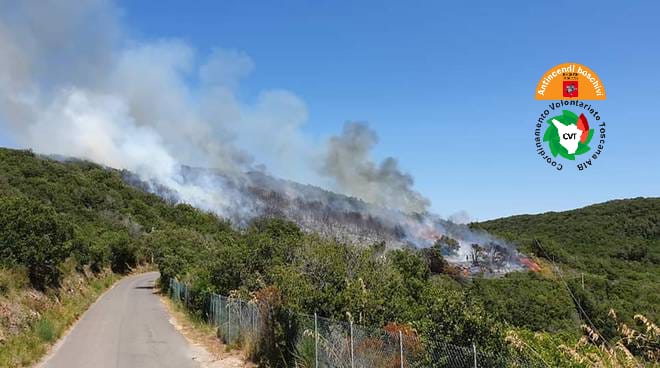 Incendio all'Argentario: squadre al lavoro
