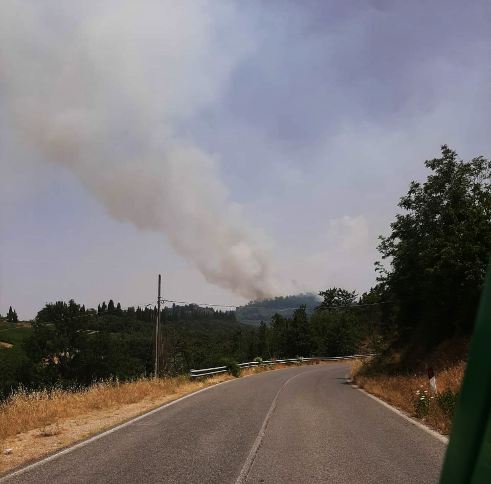 Incendio boschivo in località Riseccoli nel comune di Greve in Chianti (Fi)