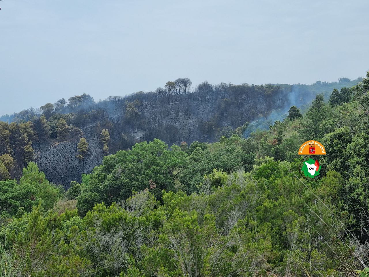 Incendio di Piombino in bonifica. Bruciati tre ettari di bosco
