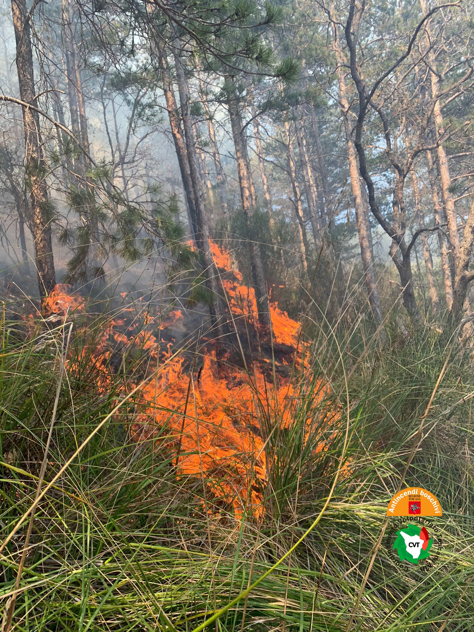 Incendio boschivo a Seggiano (Gr). Sul posto due elicotteri regionali