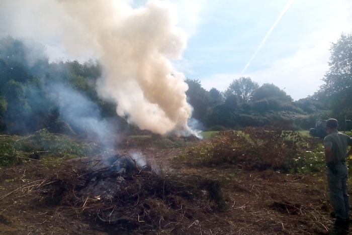 Incendio Ponte agli Stolli, 50 ettari di bosco in fumo
