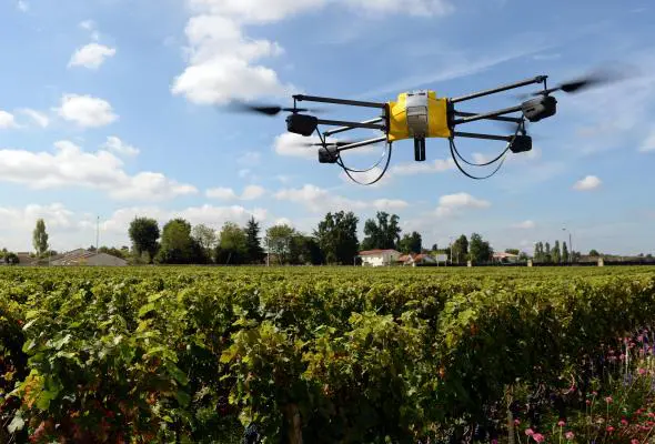 Agricoltura, al via la sottomisura da 2 milioni a sostegno progetti innovativi