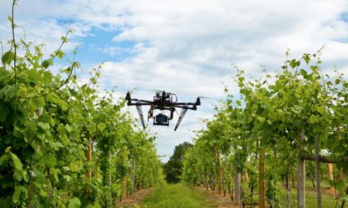 Promozione dell&#39;innovazione in agricoltura: nasce il coordinamen...