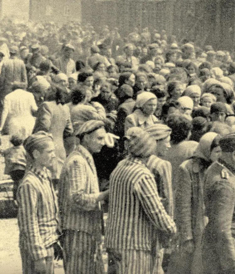 Giorno della memoria, film e video per non dimenticare