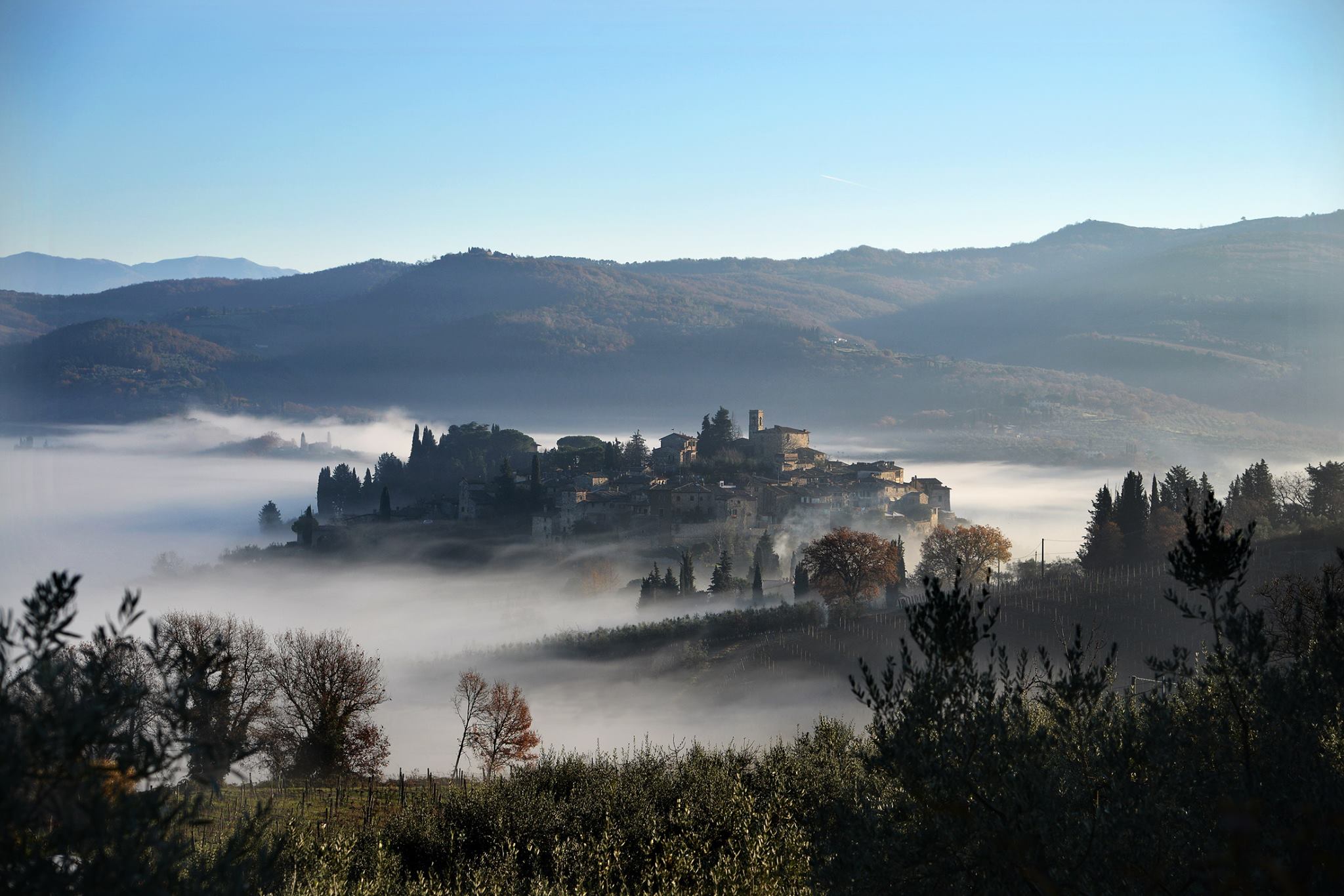 Patrimonio naturalistico toscano, presentata ‘Radici’, la nuova campagna promozionale