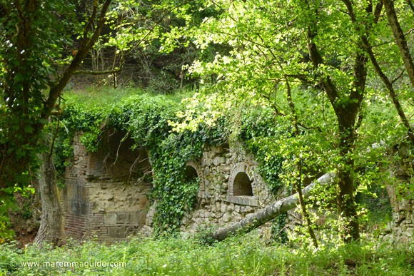 Nascerà la riserva naturale regionale di Montioni