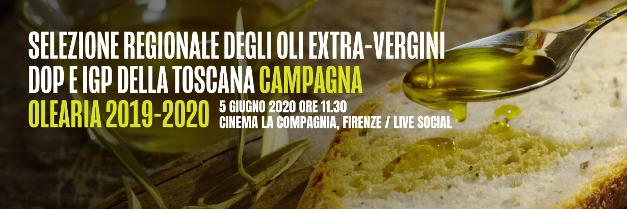 Selezione 2020: ecco le 44 eccellenze degli oli Dop e Igp della Toscana