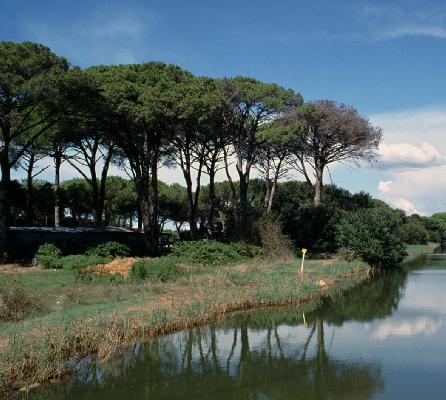 San Rossore, il 23 giugno presentazione di ViviParco, rassegna dedicata all’ambiente
