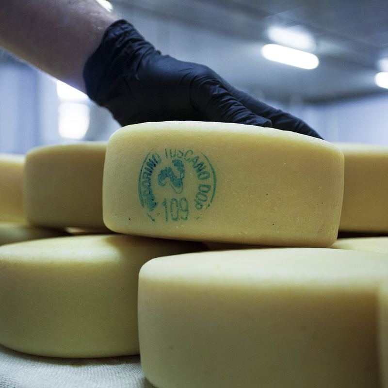 Latte ovi-caprino, firmato protocollo d'intesa per rilanciare e potenziare il settore