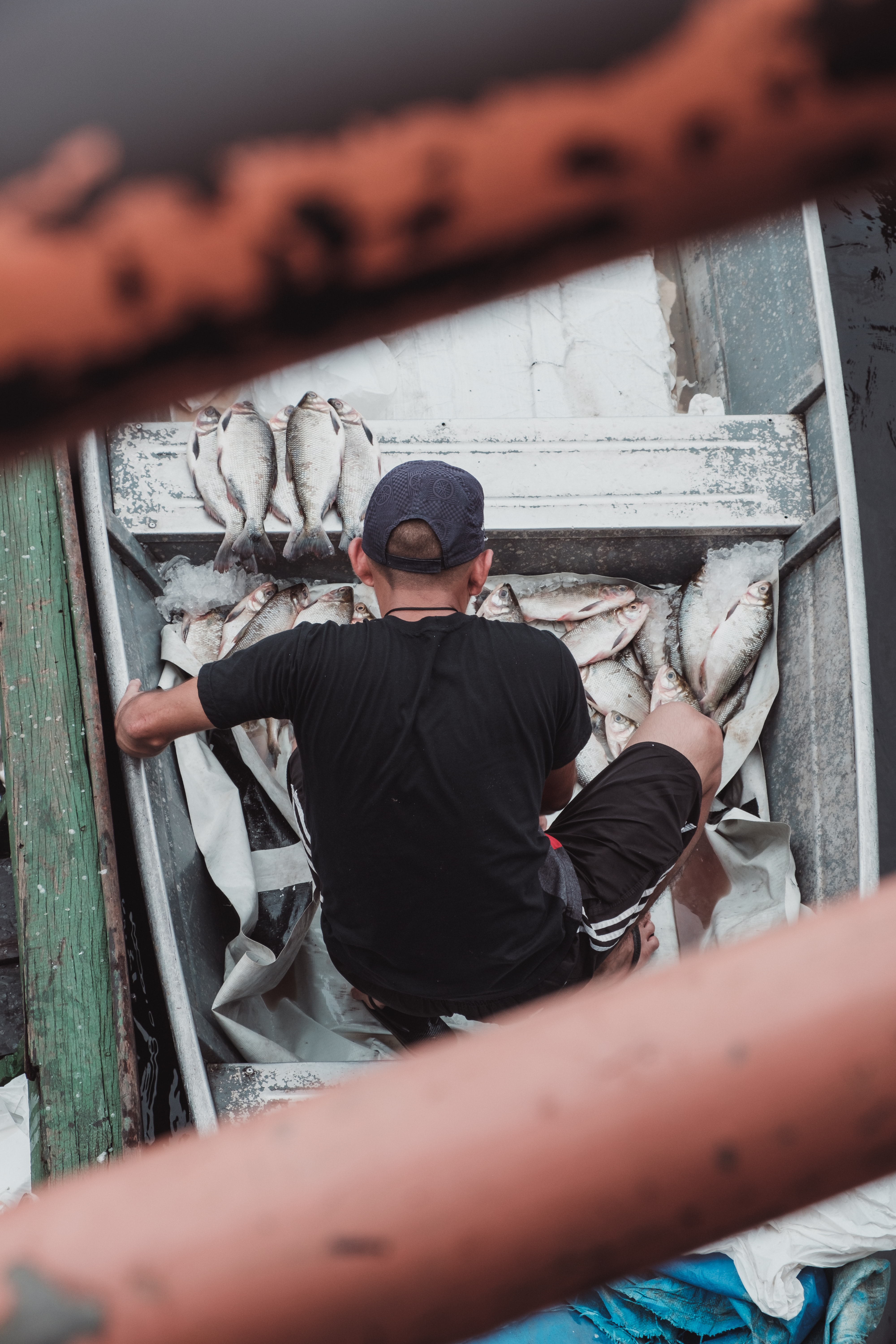 Al via un pacchetto-pesca: contributi e interventi per compensare perdite e ripartire 