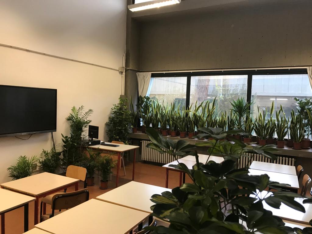 Piante in classe, risultati della sperimentazione mercoledì 26 aprile al Saffi di Firenze