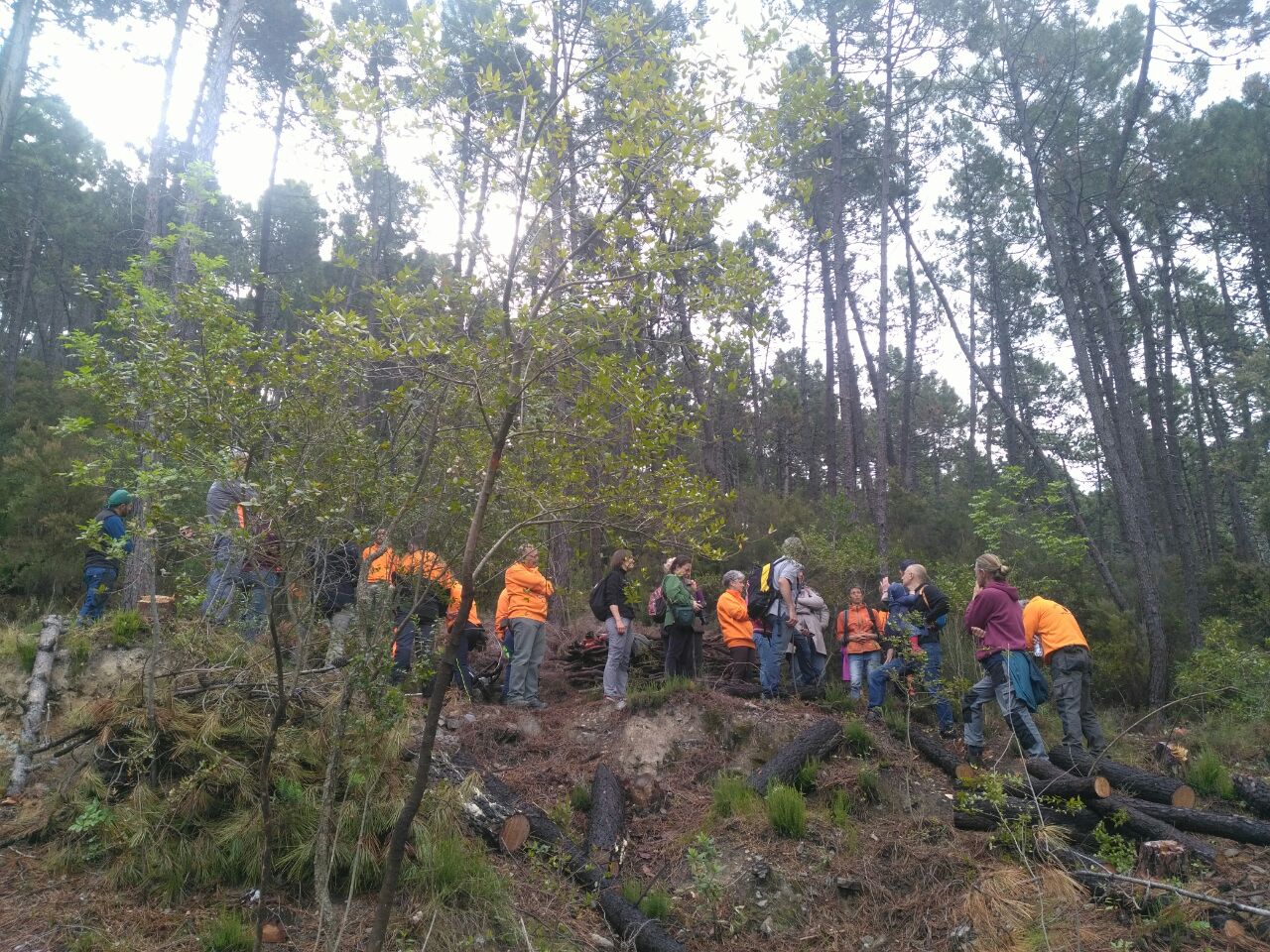 Giornata mondiale prevenzione incendi boschivi, tre eventi in Toscana il 6 e il 13 maggio