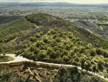 A Calci lunedì 21 inaugurazione dei nuovi interventi di riforestazione Monte Pisano