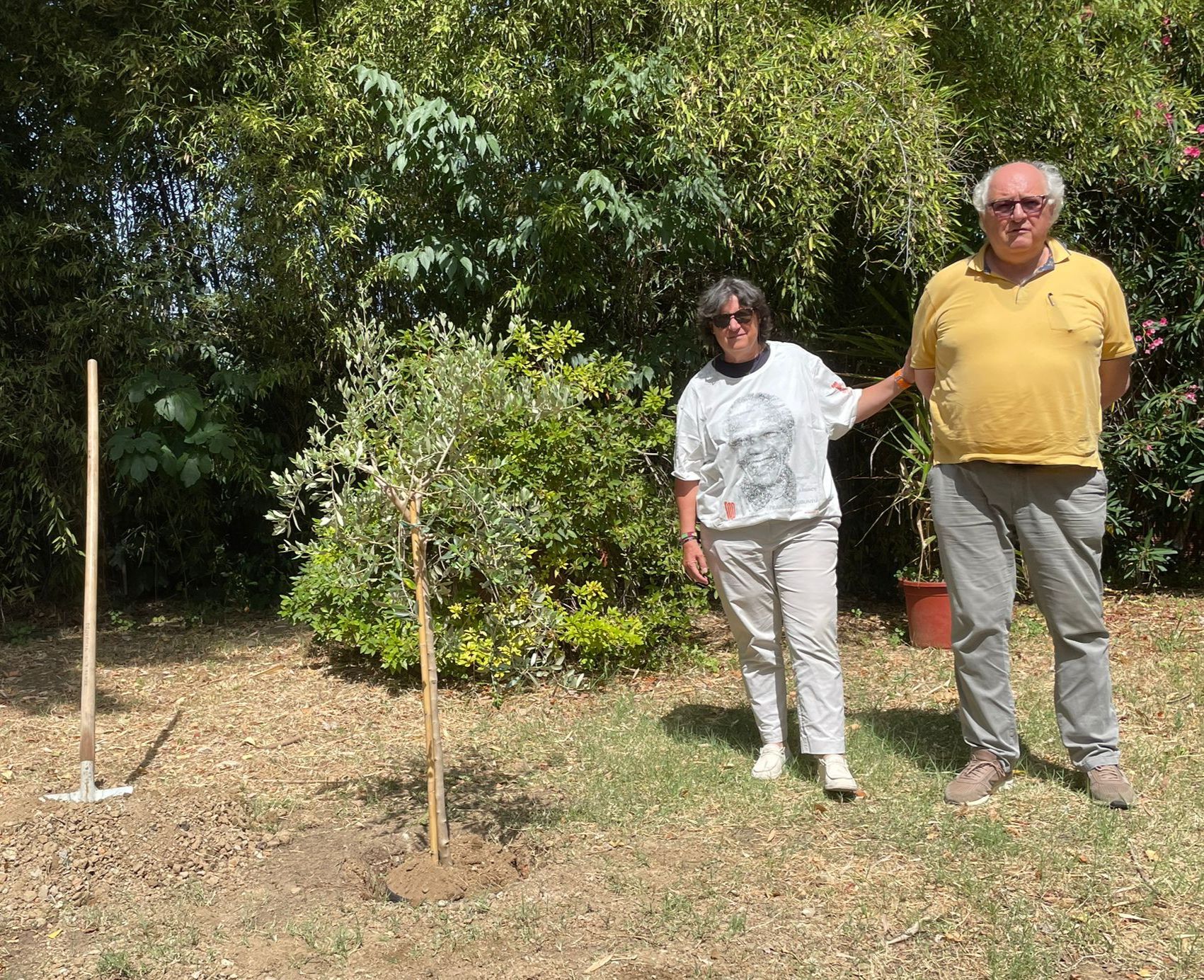 Mandela Day, la Regione aderisce. La vicepresidente Saccardi pianta un ulivo