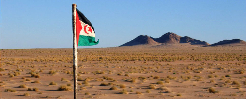 Tornano in Toscana i bambini del Saharawi, martedì 26, ore 12 incontro in Regione