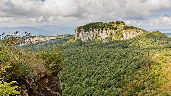 Poligono militare di Carpegna, approvata convenzione Regione-Ministero-Parco interregionale