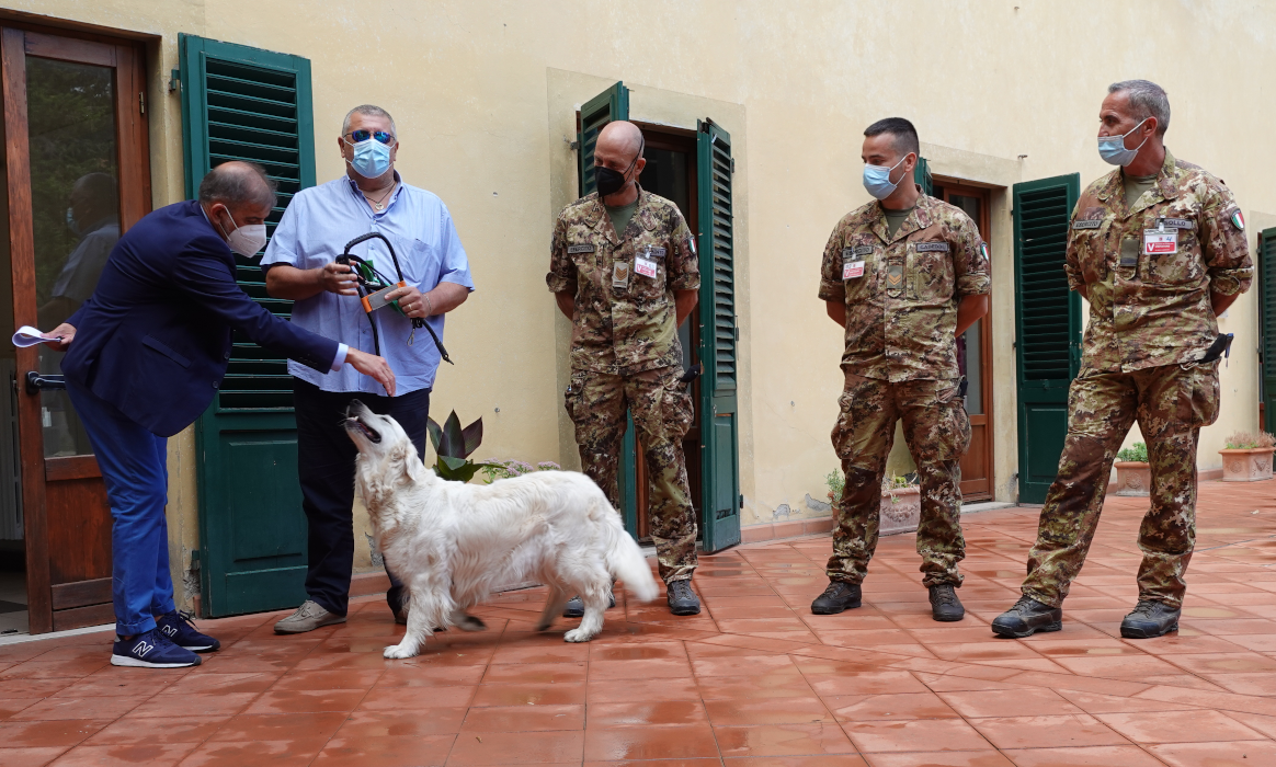 Scandicci-Grosseto: verso un gemellaggio tra scuole per cani