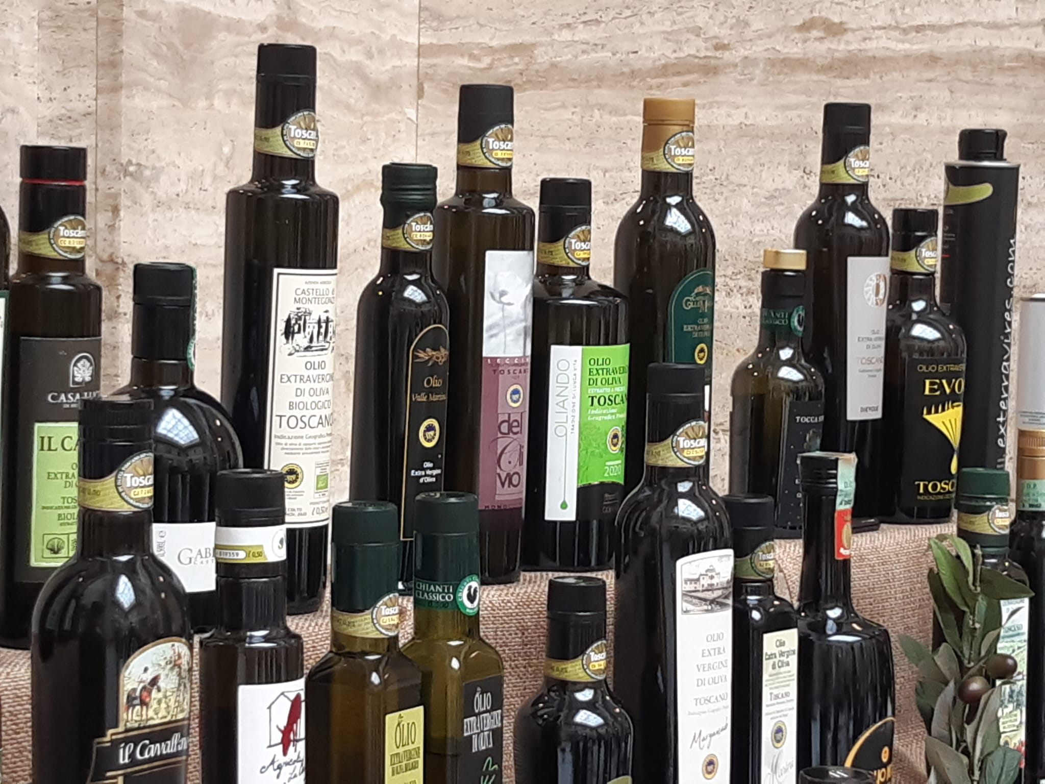 Riflettori accesi sui migliori Oli Evo Dop e Igp della Toscana: presentate 61 eccellenze 
