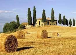 Agroalimentare, ecco i Centri delle conoscenze e competenze: accordo Regione-Slow food