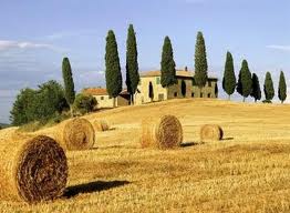Agricoltura: anticipi alle aziende per 71 milioni. Entro novembre erogati oltre 90 milioni