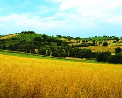 Un valore aggiunto dagli incentivi fiscali per finanziare cultura e paesaggio