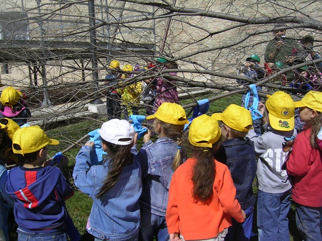 'Sono i bambini i migliori educatori degli adulti'. Targetti e Bramerini sui progetti integrati di educazione ambientale