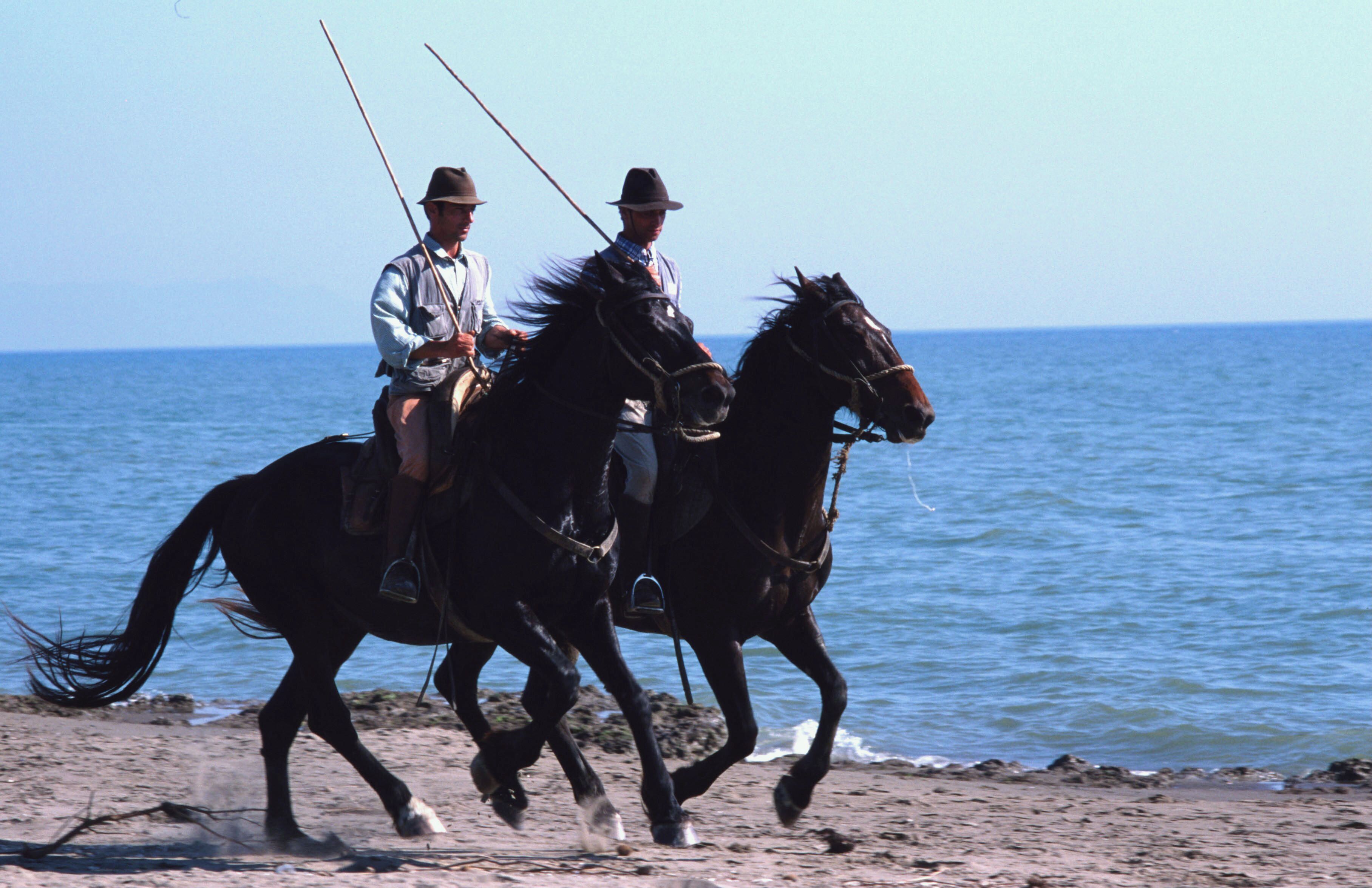 Battito Buttero: la cultura equestre della Maremma in scena domani e dopodomani