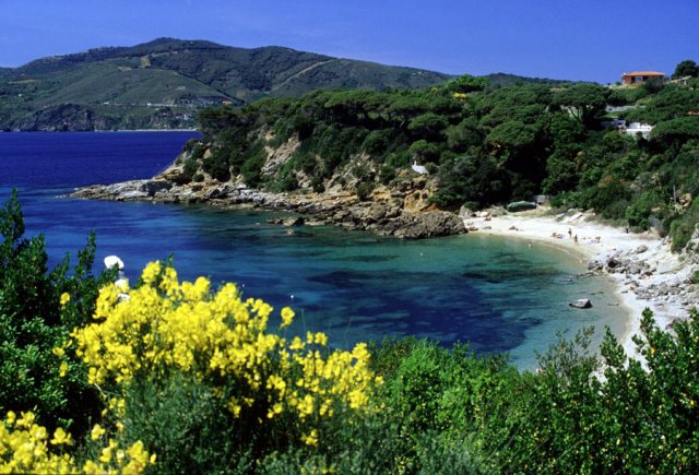 Giornata europea dei parchi, giovedì 24 all'Elba workshop biodiversità e conferenza stampa