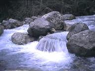 Ragazzi di tutta la Toscana imparano la cultura dell'acqua e ...