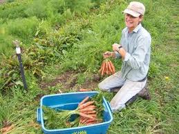Fare impresa in agricoltura, altri 6,7 mln per finanziare tutte le domande ammesse
