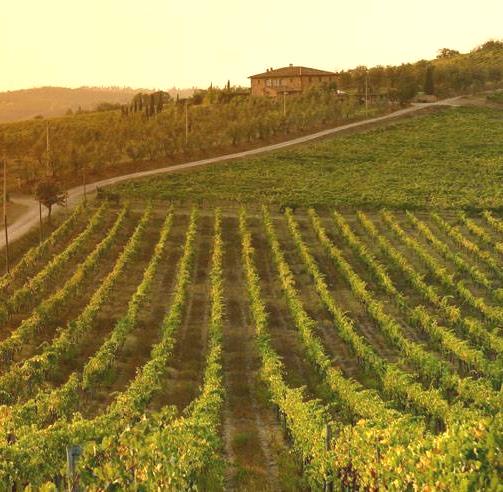 Alta formazione, Its Eccellenza agro-alimentare: lavora oltre il 70% dei diplomati