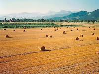 'Più agricoltura, crescita del paese', domani convegno Cia con Marson, Salvadori e ministro Catania