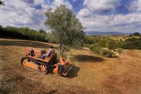 Indagine sul mondo agricolo: domani la presentazione a Expò Rurale