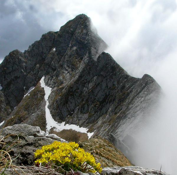 Apuane, Geoparco Unesco. Bramerini: 'Grande occasione per il nostro territorio'