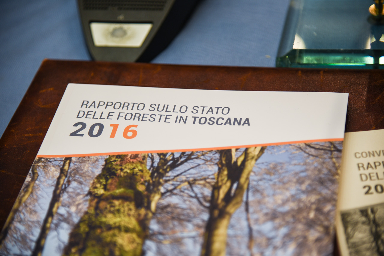 Presentato il rapporto sulle foreste, in un volume lo stato del patrimonio boschivo toscano