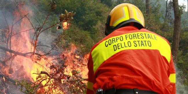 'Gemellaggio' fra Regione e Corpo Forestale: lotta ad incendi, lavoro nero, inquinamento