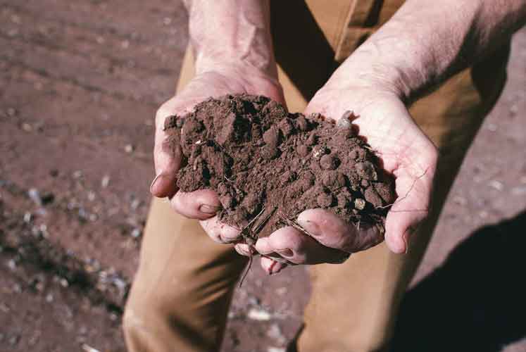 Agricoltura sociale, via libera definitivo al regolamento di attuazione
