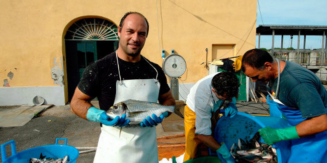 Pesca, nuove risorse ai bandi su trasformazione prodotto ittico e acquacoltura