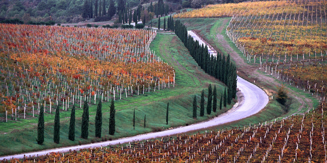 Piano paesaggistico, al via un tour di presentazioni pubbliche in sette comuni toscani