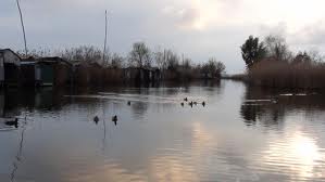 Crisi idrica: sospesi i prelievi dal lago di Massaciuccoli