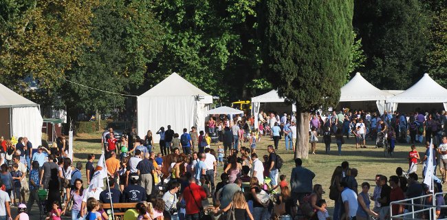 Expo rurale, Salvadori: 'Filiera biomasse agroforestali per futuro energia Toscana'
