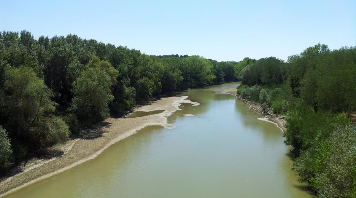 Istia d'Ombrone, la Regione finanzia l'intervento contro il rischio alluvioni