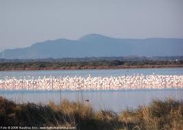 Laguna d'Orbetello, la Regione gestirà la fase transitoria