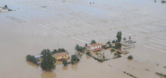 Agricoltura, Salvadori al ministro Catania: 'Toscana in ginocchio, urge strategia comune'