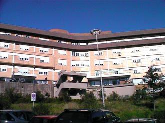 Elba, la giunta approva l'accordo con i sindaci