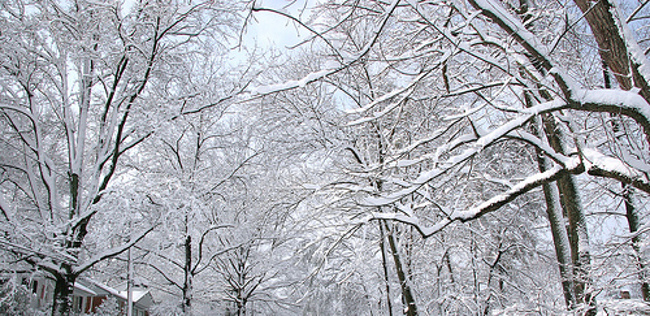 Neve sulla montagna pistoiese, domani scuole chiuse in tre comuni