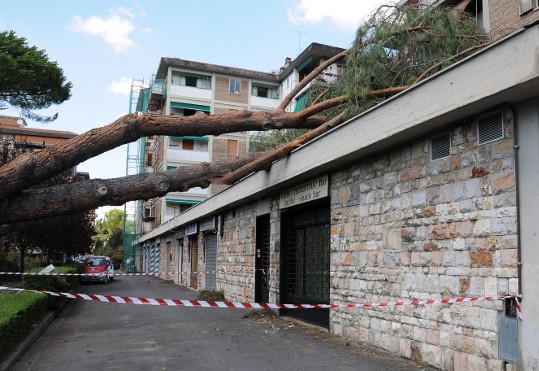 Danni post alluvioni: ecco le agevolazioni disponibili per imprese e cittadini