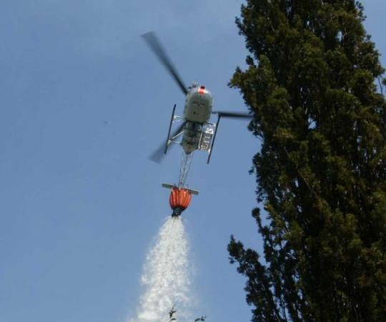 In fase di bonifica l'incendio a La Parrina, a Orbetello. Bruciati 12 ettari di macchia mediterranea