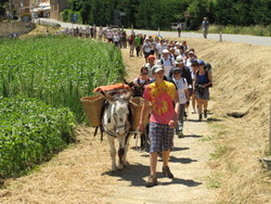 Chi va piano va lontano: torna il festival della Viandanza sulla Francigena