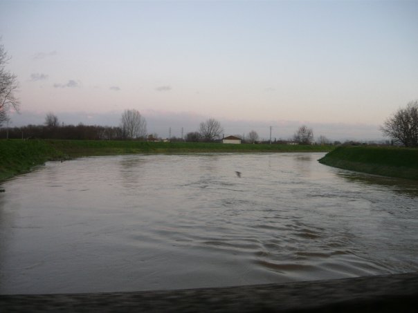Ombrone, tracimazioni nell'area pratese
